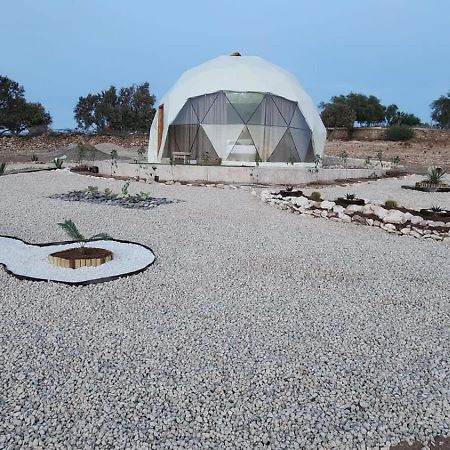 Tassourt Lodge Εσαουίρα Εξωτερικό φωτογραφία
